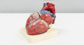 Uma partícula pouco conhecida, a lipoproteína(a), ou Lp(a), pode aumentar silenciosamente o risco cardiovascular; saiba como um simples exame de sangue pode identificar esse fator de risco.