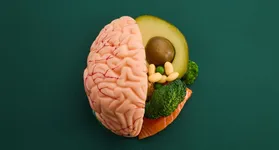 Especialista em nutrologia explica o impacto dos nutrientes, do eixo intestino-cérebro e dos ultraprocessados na memória e na cognição.
