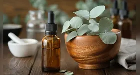 Substância de odor forte incomoda o sistema olfativo dos roedores; especialista orienta combinar a prática com medidas de prevenção.