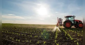 Plataforma elimina necessidade de baixar programas e passa a ser obrigatória para propriedades rurais acima de 100 hectares.