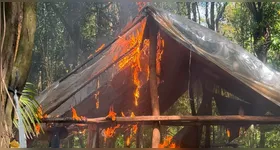Plantios de maconha foram encontrados na Terra Indígena Alto Rio Guamá durante a Operação Carcará.