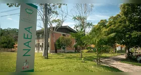 Bolsa de R$ 13 mil para pesquisadores na Amazônia