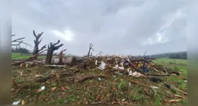 Tornado que atingiu a zona rural de Piraí do Sul (PR), no último sábado (8), foi classificado como F3 pelo Simepar, com ventos estimados entre 253 km/h e 332 km/h.