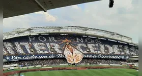Torcida do Remo promete fazer show a parte no Mangueirão