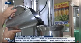 Imagem ilustrativa da notícia Pesquisa da UFPA revela potencial do açaí para a saúde do cérebro