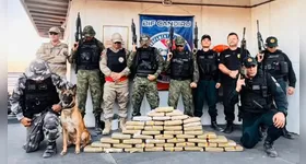 Operação no Pará apreende 49 quilos de drogas com ajuda de cão farejador. Saiba mais sobre a fiscalização e ações das forças de segurança.