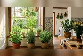 A presença dessas plantas pode contribuir para deixar determinados ambientes menos atrativos aos insetos
