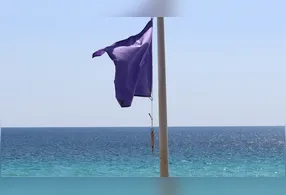 Saiba sobre a bandeira roxa nas praias: significado, cuidados e o que fazer em caso de contato com animais marinhos.