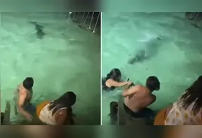 Turistas enfrentam crocodilo durante banho noturno. Conheça as recomendações de segurança e detalhes sobre o incidente.