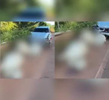 Imagem ilustrativa da imagem Caminhonete atinge gado e deixa quatro animais mortos no Pará