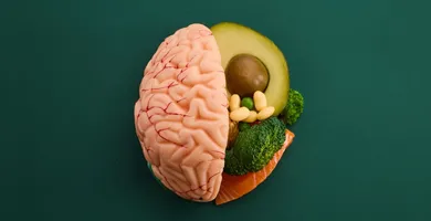 Imagem ilustrativa da imagem Alimentação e cérebro: como a dieta protege a memória