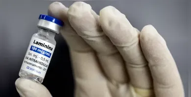 Imagem ilustrativa da imagem Sete pacientes que receberam polilaminina morreram durante tratamento