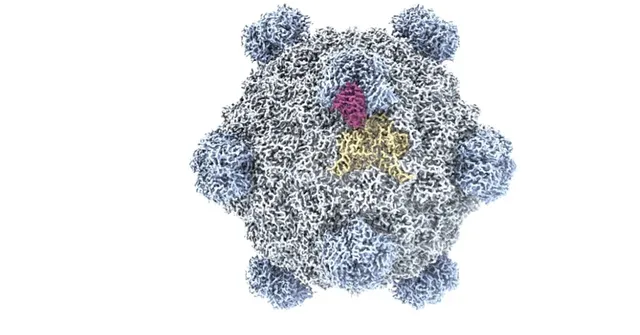 Imagem ilustrativa da notícia IA cria vírus que não existe na natureza pela primeira vez