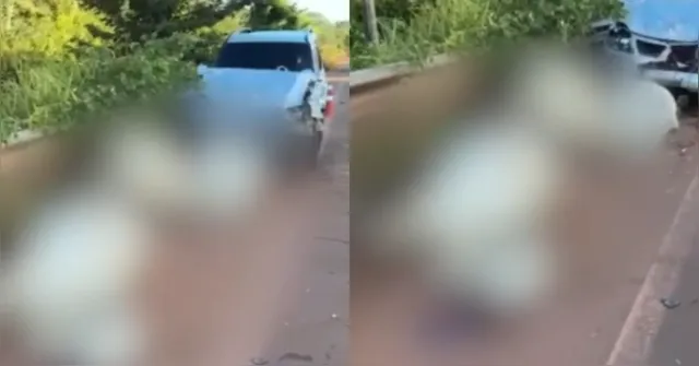 Imagem ilustrativa da notícia Caminhonete atinge gado e deixa quatro animais mortos no Pará