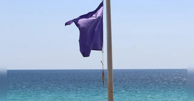 Imagem ilustrativa da notícia Bandeira roxa na praia: saiba o significado e os cuidados no mar