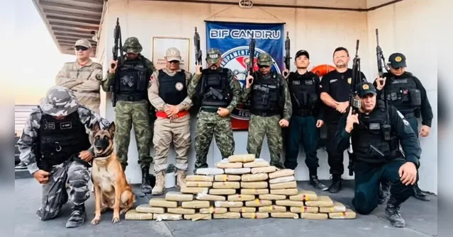 Imagem ilustrativa da notícia Cão farejador encontra drogas escondidas em embarcação no Pará