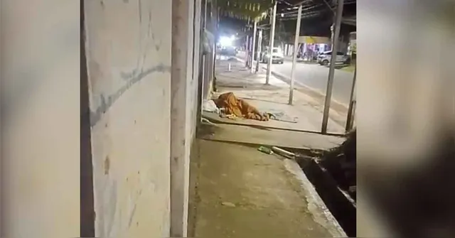Imagem ilustrativa da notícia VÍDEO: Homem é preso suspeito de zoofilia em Outeiro