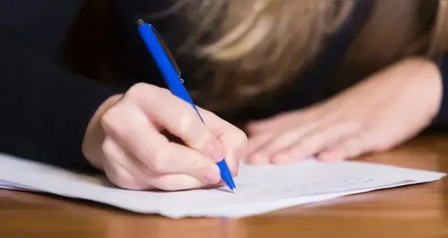 Imagem ilustrativa da imagem Educação, segurança e mais: concursos abertos e salários de até R$ 10 mil