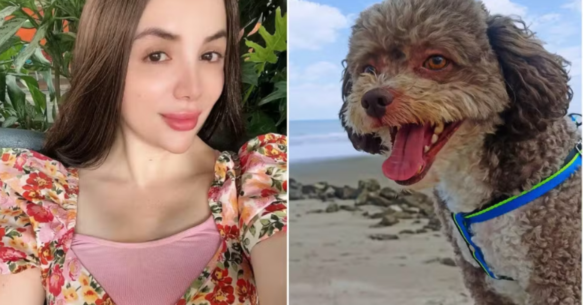 Lenny Fernández morreu durante o terremoto na Colômbia ao tentar proteger o cachorro Salomón. O animal foi encontrado vivo sob o corpo dela entre os escombros e recebeu atendimento após o resgate.