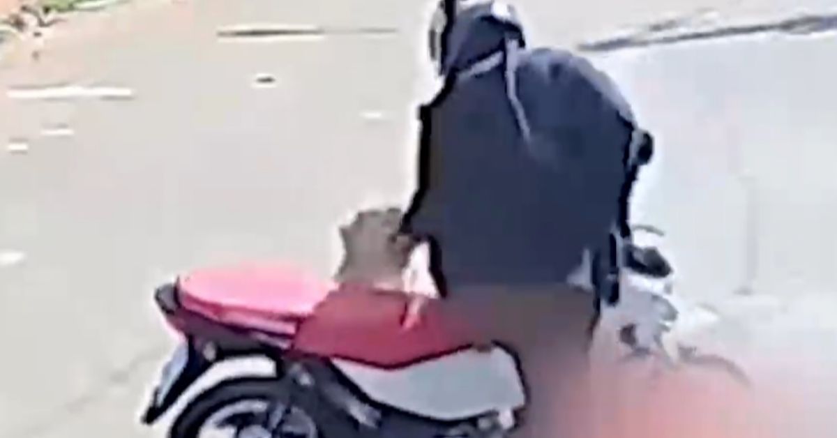 A mulher foi atacado pelo pitbull no momento em que subia em sua motocicleta