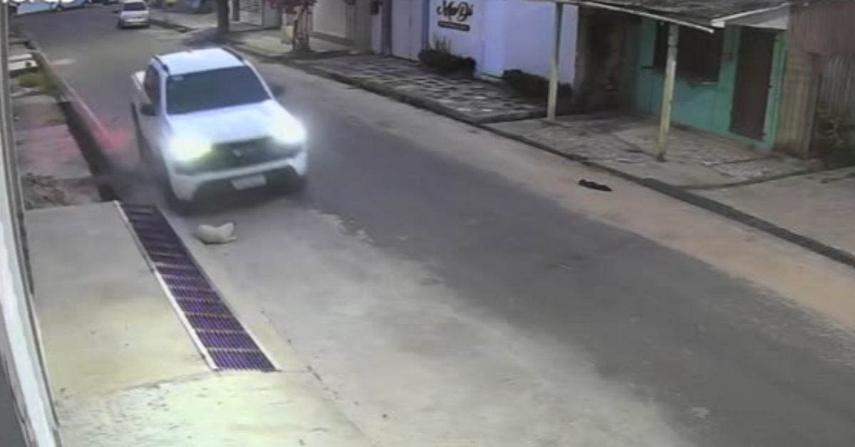 Câmeras de segurança registraram o momento em que camionete atropela cachorro em Abaetetuba.