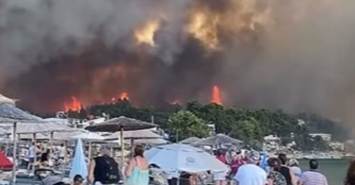 Incêndios florestais atingem diferentes países da Europa em meio a onda de calor e seca.