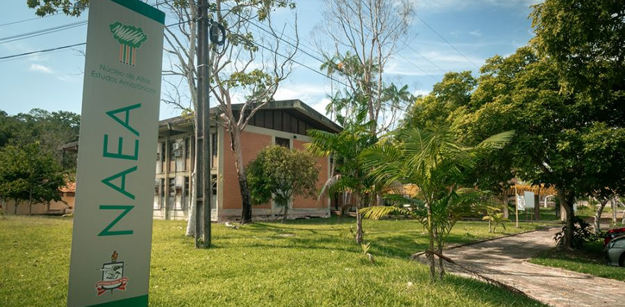 Bolsa de R$ 13 mil para pesquisadores na Amazônia