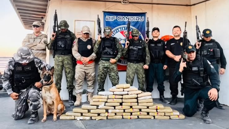 Operação no Pará apreende 49 quilos de drogas com ajuda de cão farejador. Saiba mais sobre a fiscalização e ações das forças de segurança.