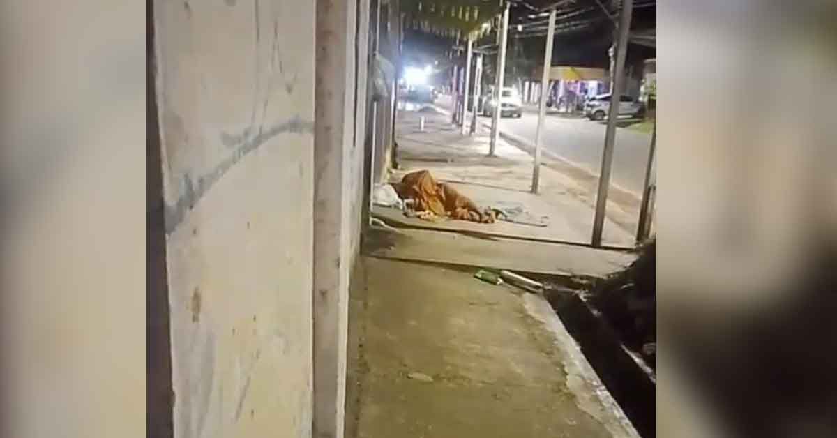 Homem foi preso em Outeiro, Belém, suspeito de praticar atos de zoofilia com uma cadela. Caso registrado pela Polícia Militar do Pará.
