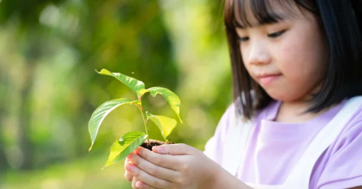 No Dia da Sustentabilidade, atividades lúdicas podem ajudar crianças a compreender a importância da preservação ambiental sem transformar a crise climática