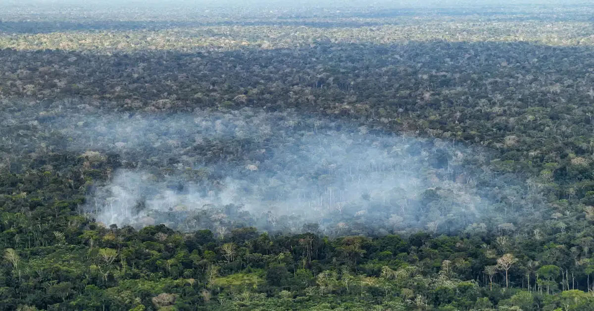 Os resultados reforçam a preocupação com os impactos das atividades humanas