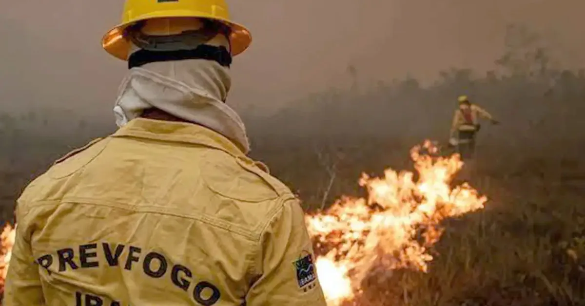 Equipes permanecem na região combatendo a 20 focos ativos