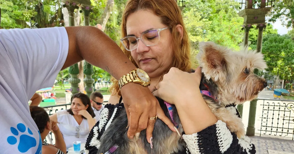 A imunização será destinada a cães e gatos que estejam saudáveis e aptos a receber a vacina