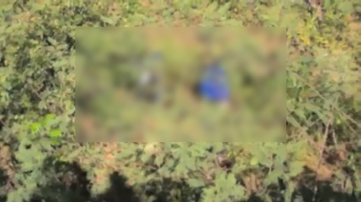 A motociclista colidiu contra a barreira de proteção da via e foi arremessado, junto com a mulher que estava na garupa, ribanceira abaixo