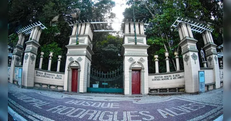 Bosque Rodrigues Alves será palco de um acampamento para crianças e famílias.