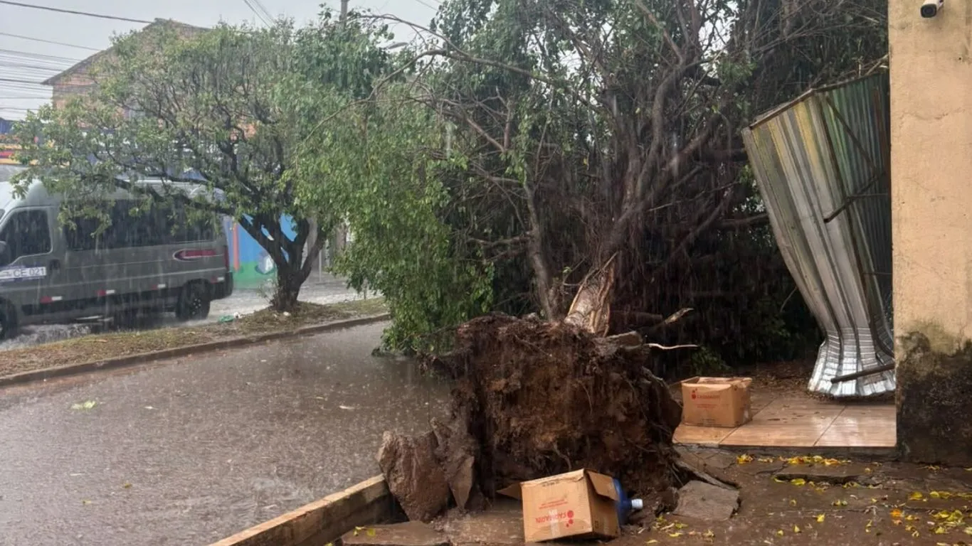 Chuva forte e rajadas de vento derrubaram árvores, muros, fachadas e estruturas elétricas; equipes seguem em campo
