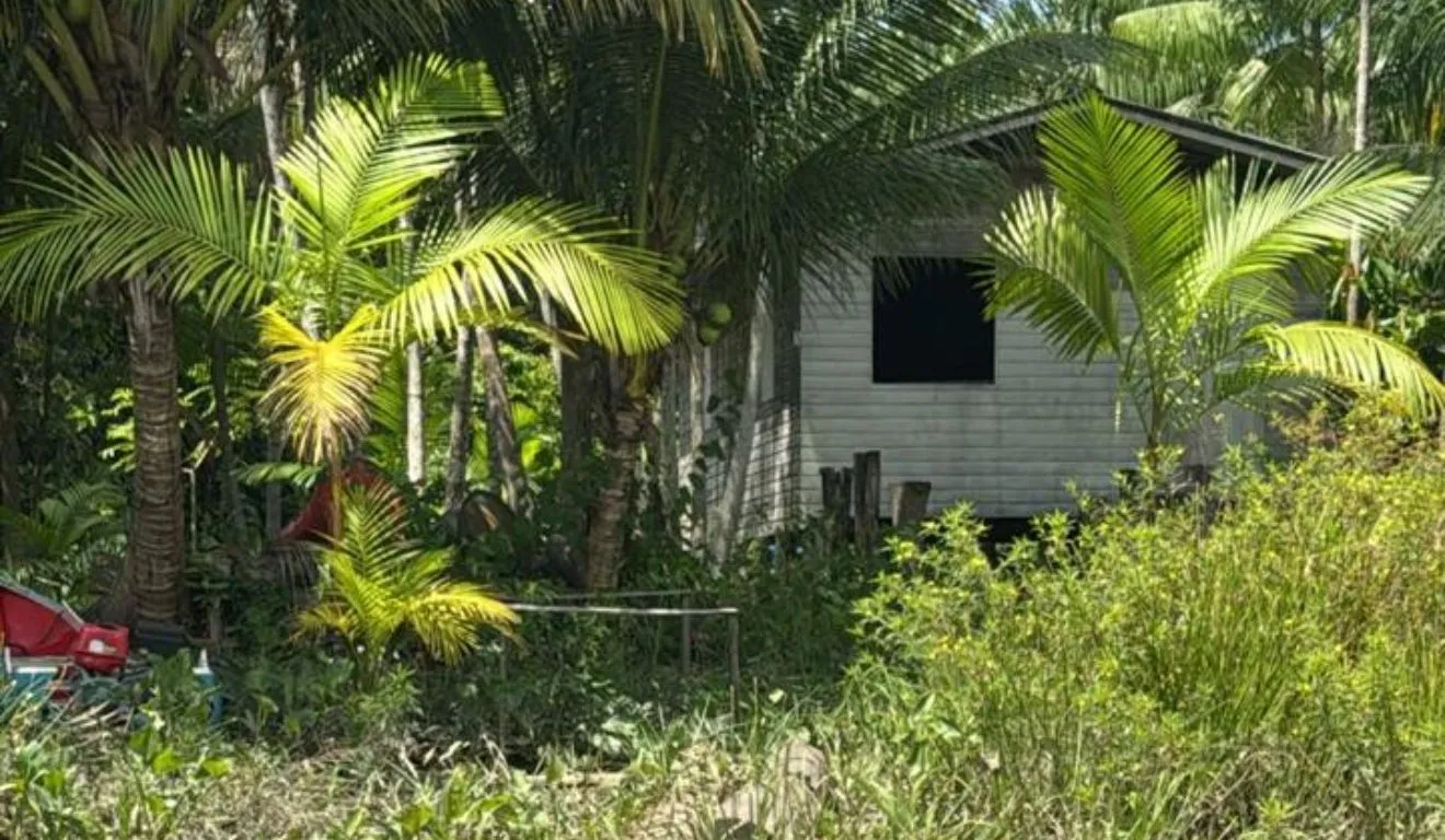 O companheiro da vítima foi localizado nas proximidades da residência. Assim que identificado, recebeu voz de prisão das autoridades.