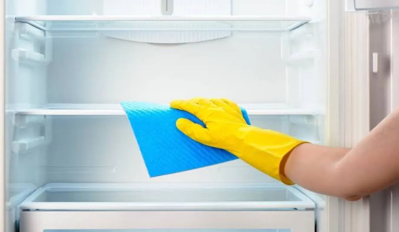 Algumas práticas diárias garantem que a geladeira permaneça sem odores por muito mais tempo.