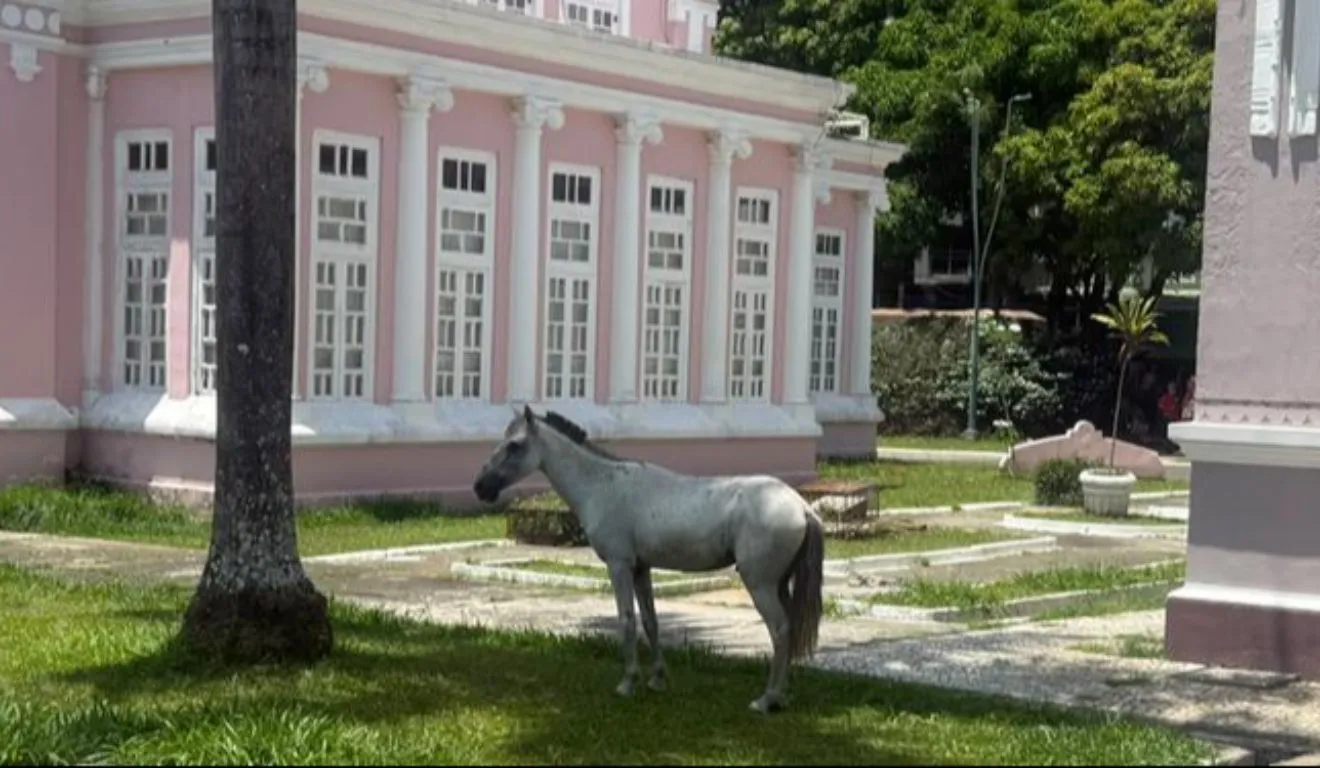 O episódio da praça não é isolado. Belém registrou ao menos quatro situações parecidas em poucas semanas.