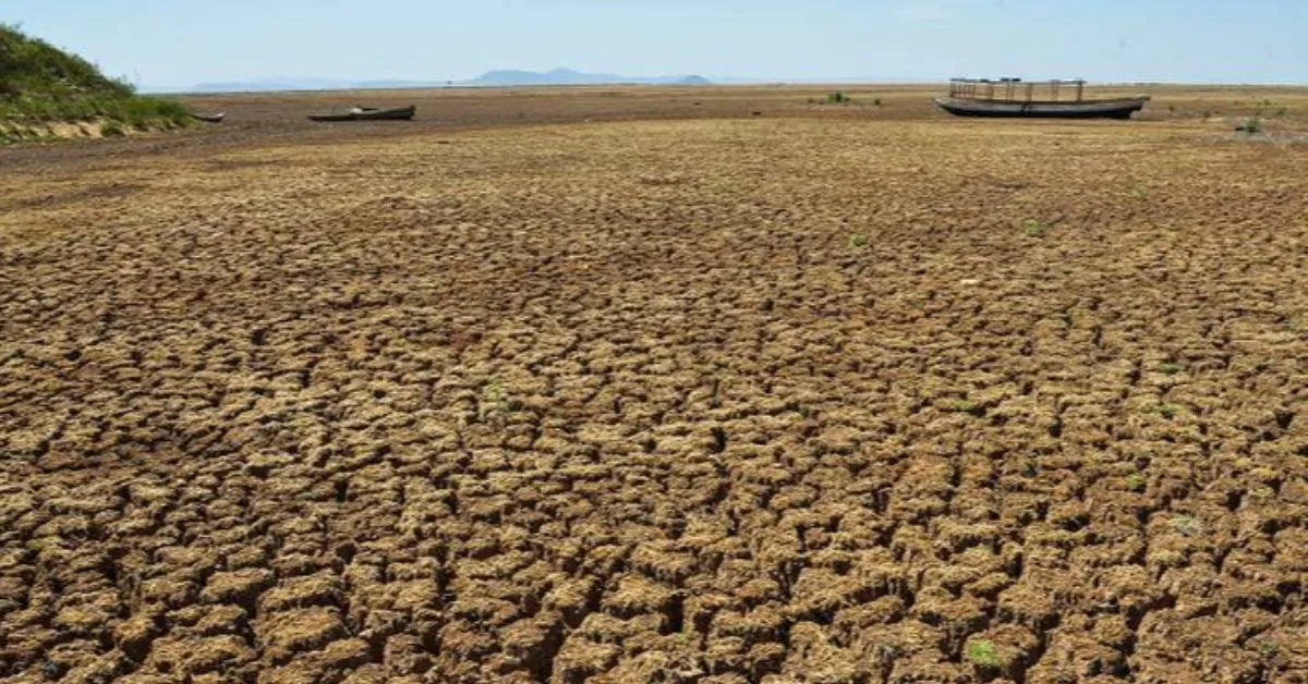 Imagem ilustrativa da notícia: Seca pode afetar 75% da população até 2050