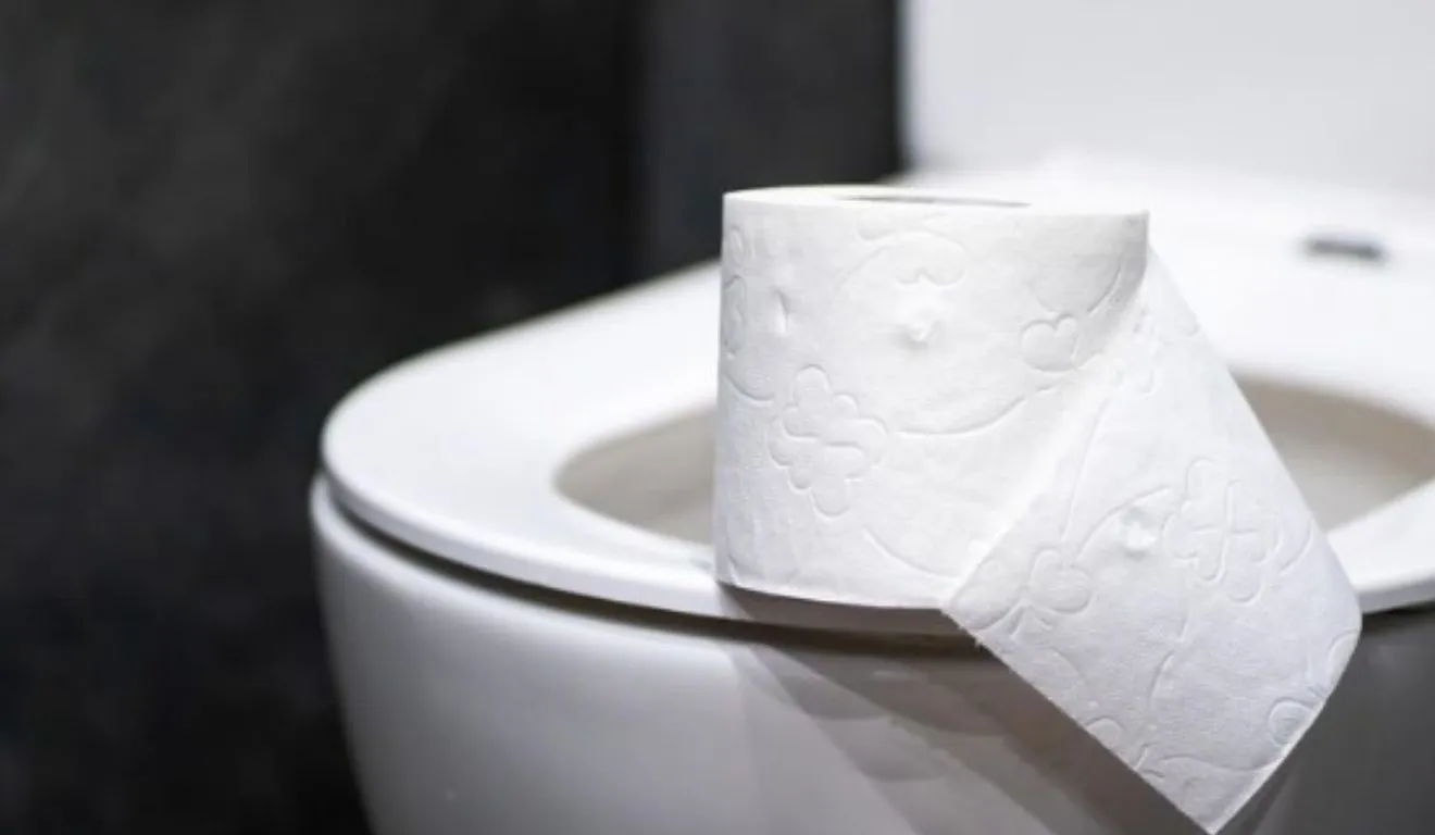 Composição do papel pode ser apontada como um dos motivos dessa diferença cultural.