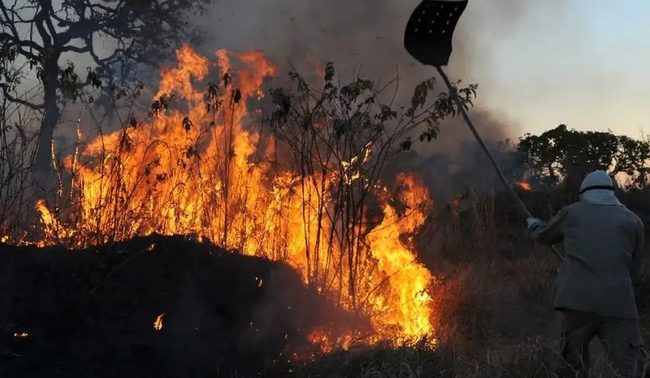 Imagem ilustrativa da notícia: Muaná decreta emergência por avanço de incêndios e seca no Marajó