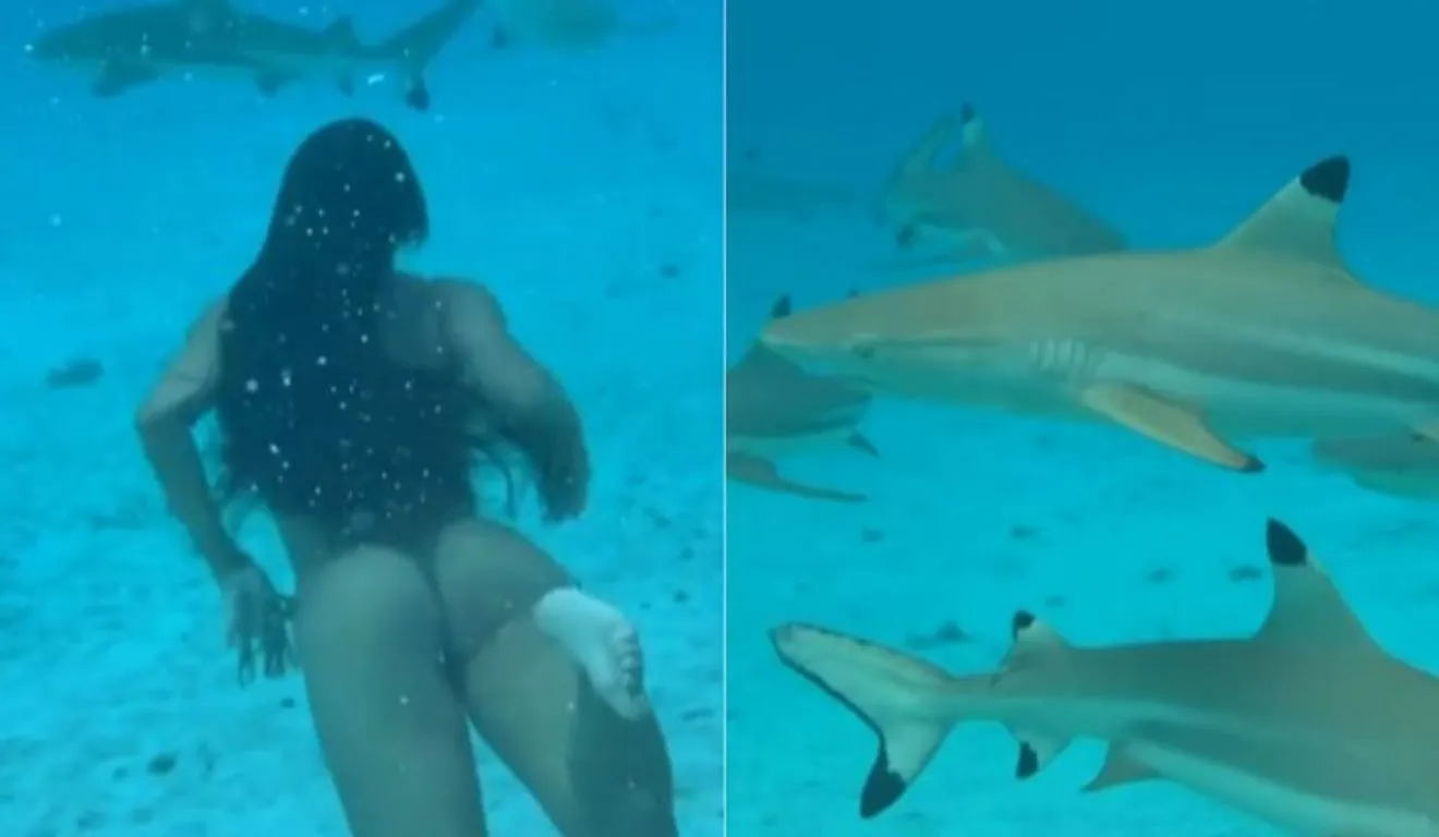 A esposa do surfista não teve medo e fez o mergulho junto com os tubarões