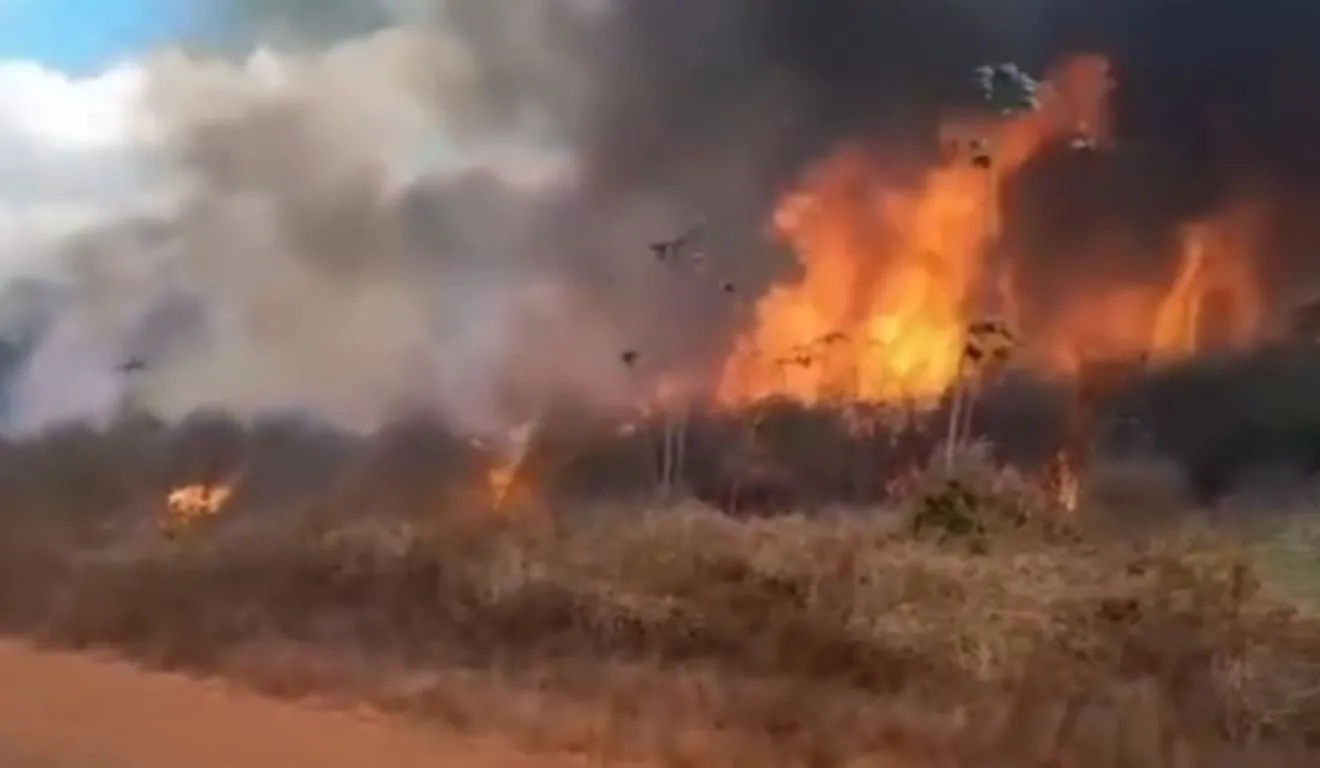O incêndio começou pela vegetação da área e quase alcançou residências