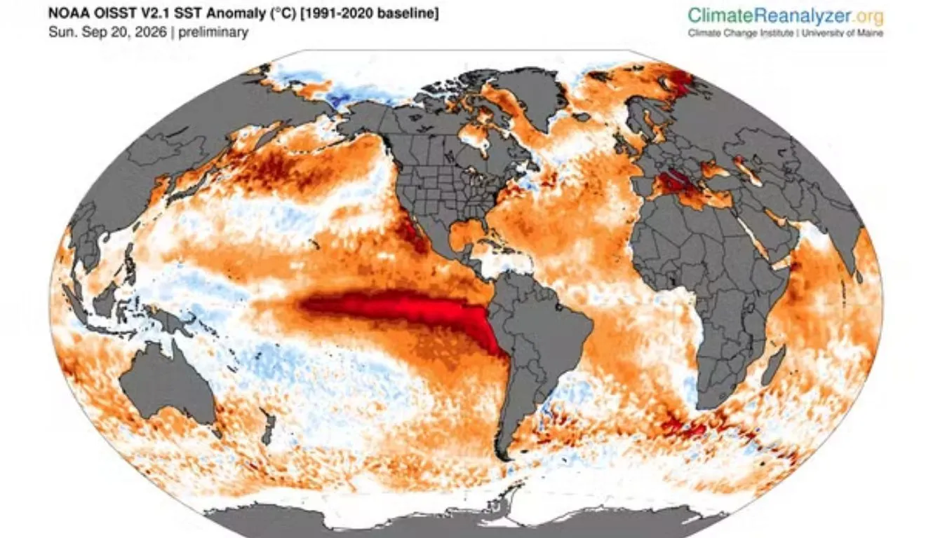 O mapa confirma o aquecimento na faixa do Oceano Pacífico por causa do El Niño