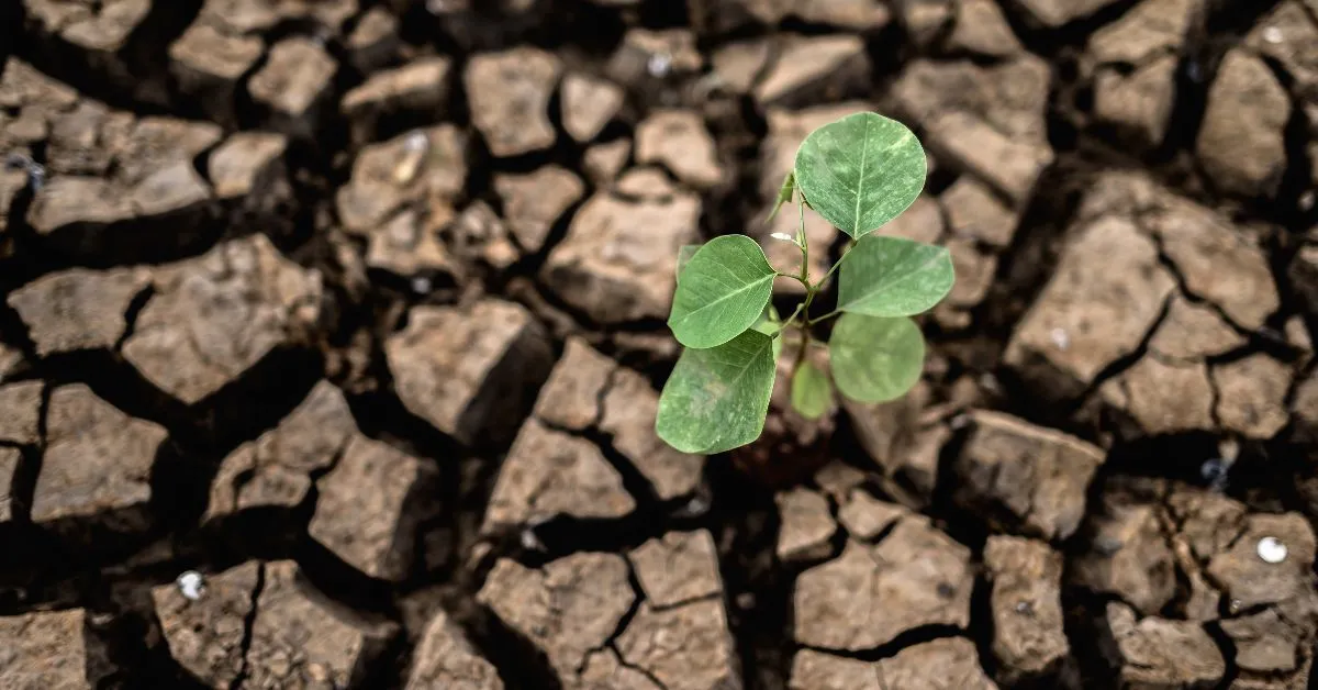 Governo federal criou gabinete extraordinário para coordenar ações de proteção social diante dos possíveis impactos do El Niño 2026-2027.