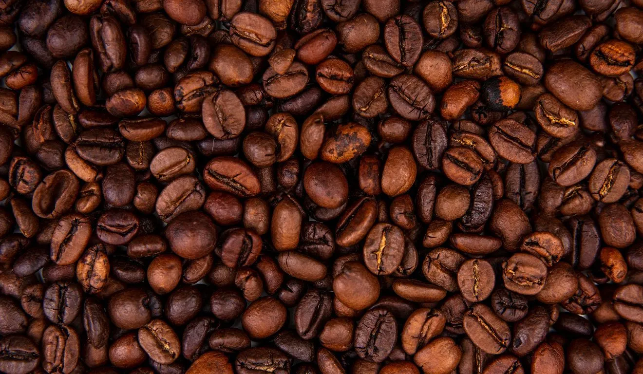 Estudo finlandês encontrou associação entre maior consumo de café, menor gordura corporal e maior massa muscular esquelética.