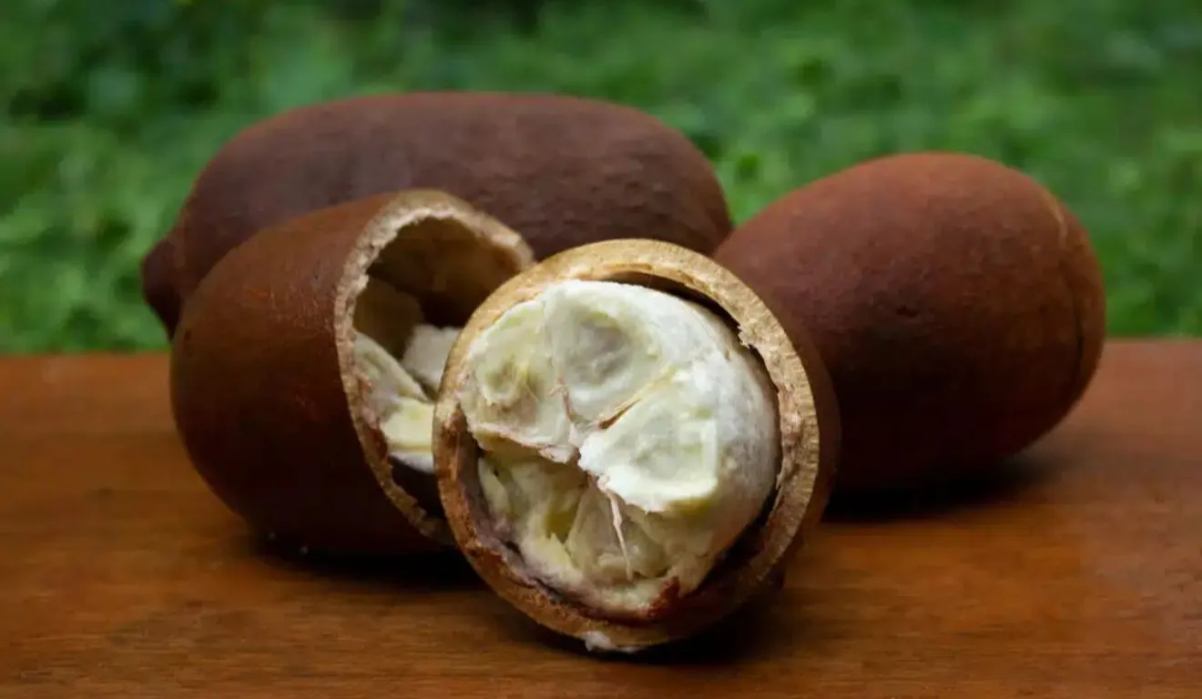 Imagem ilustrativa da notícia: 5 frutas regionais da safra para economizar e cuidar da saúde