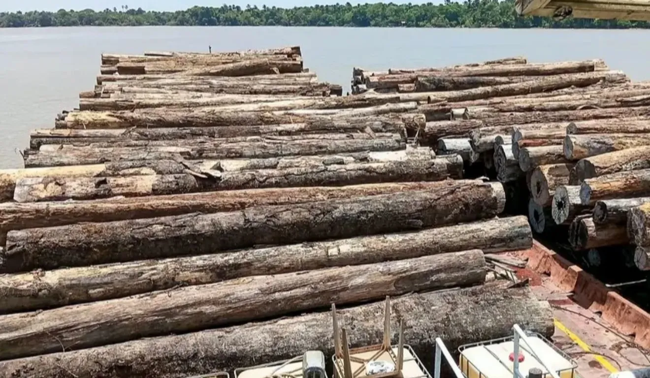 Cerca de 700 metros cúbicos de madeira em tora foram apreendidos durante fiscalização no Rio Maiatuaru, em Igarapé-Miri, no nordeste do Pará.