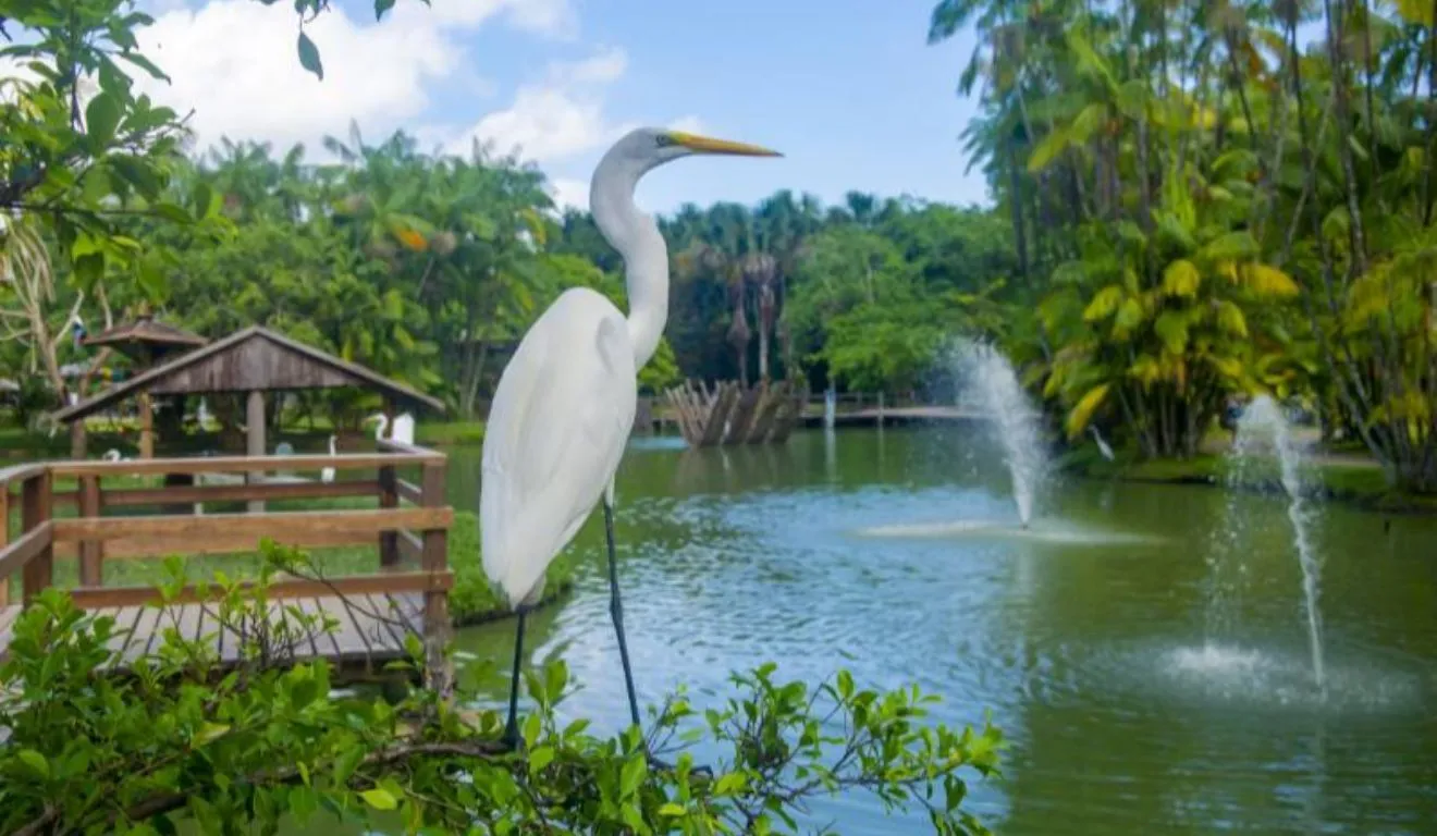 A programação especial une educação ambiental e contato com a fauna de forma lúdica.